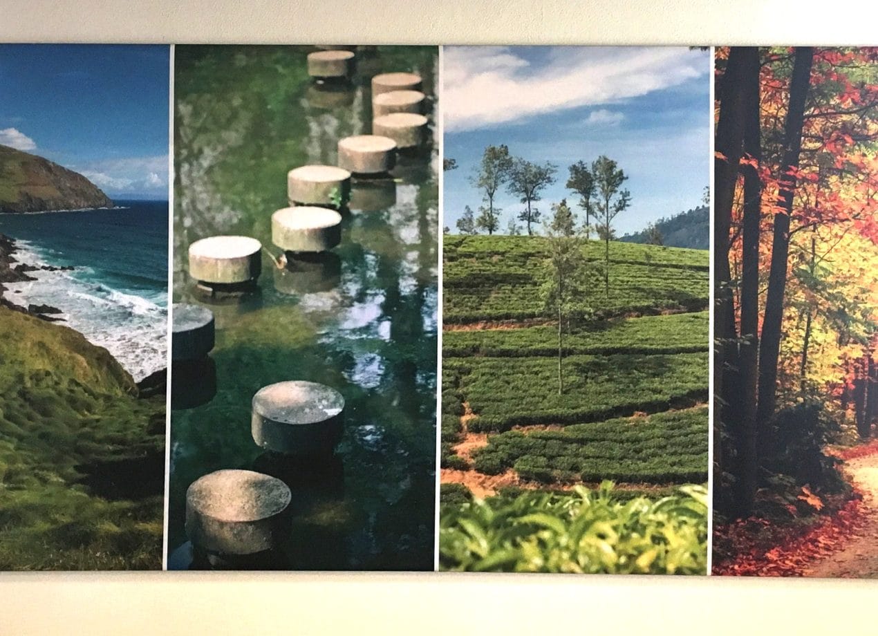 VerheesPlus reclame Akoestische panelen 2 bewerkt