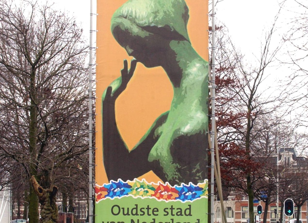 VerheesPlus reclame vrijstaand frame
